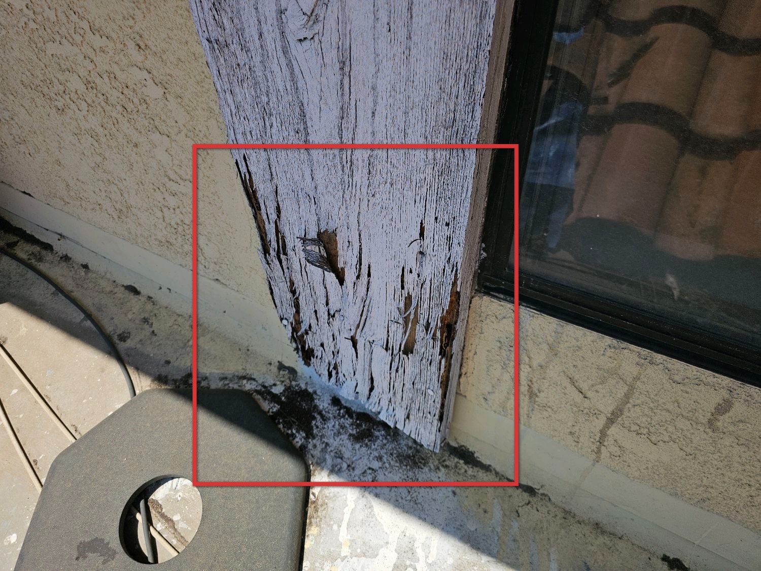 TERMITE INSPECTION
