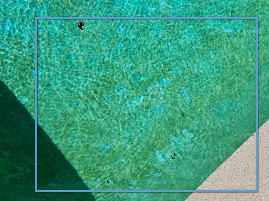 Pool Inspection