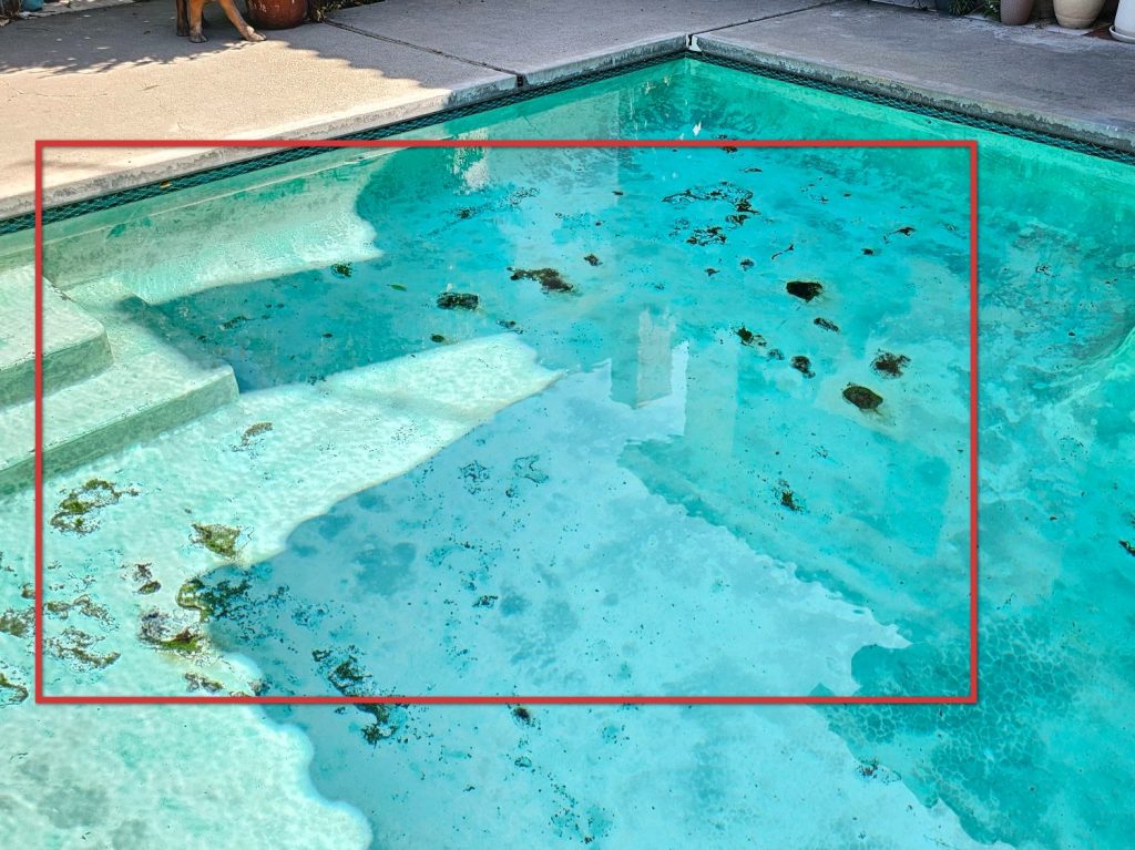Pool Inspection