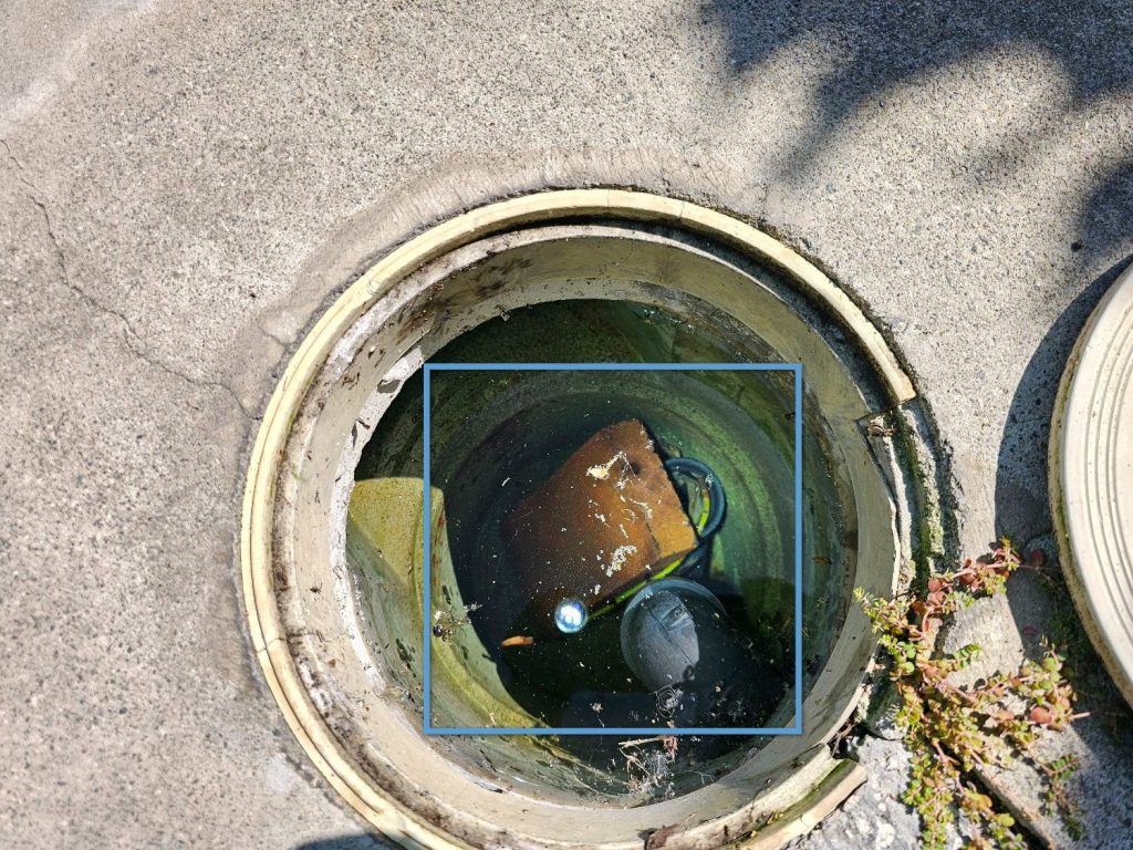 Pool Inspection