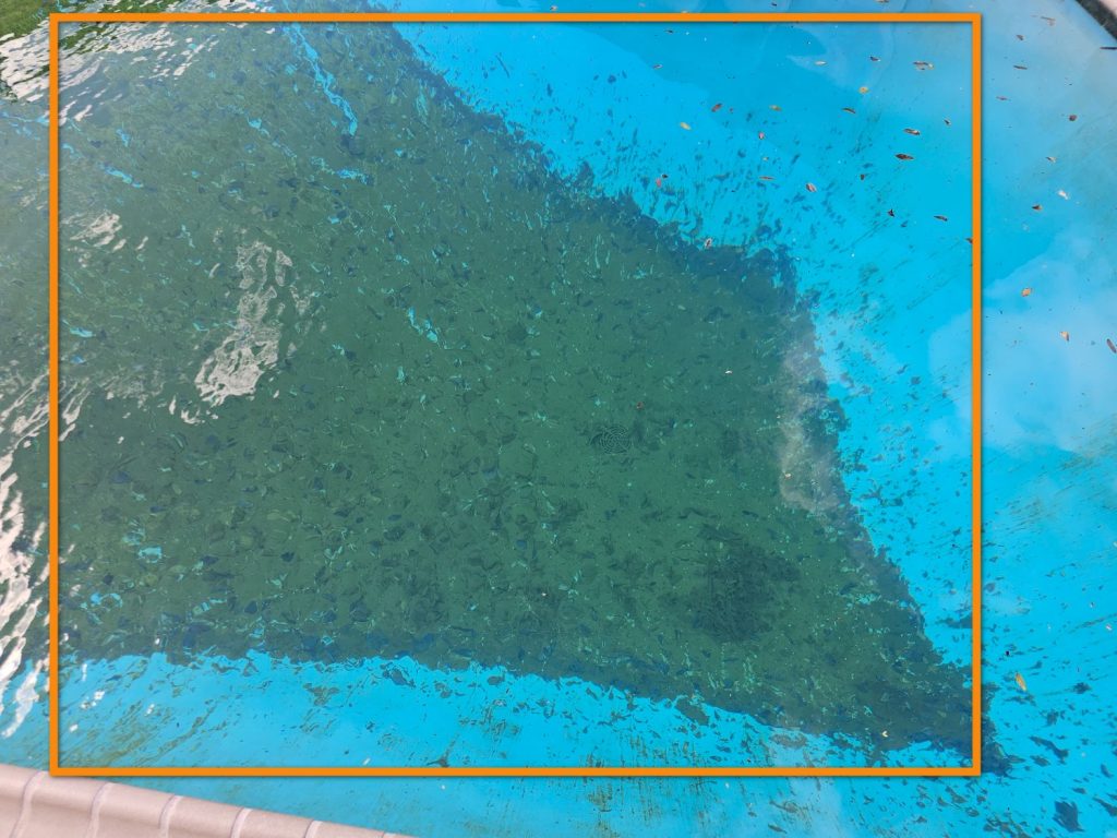 Pool Inspection