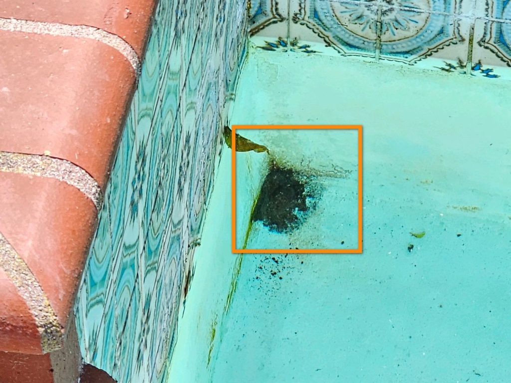 Pool Inspection