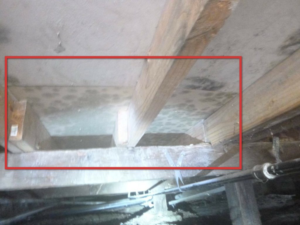 Mold / AIQ