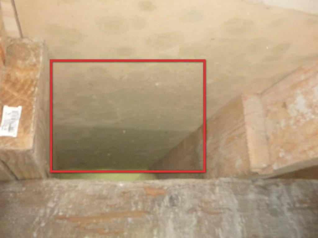Mold / AIQ