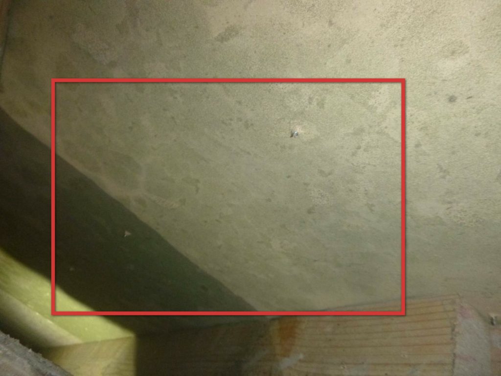 Mold / AIQ