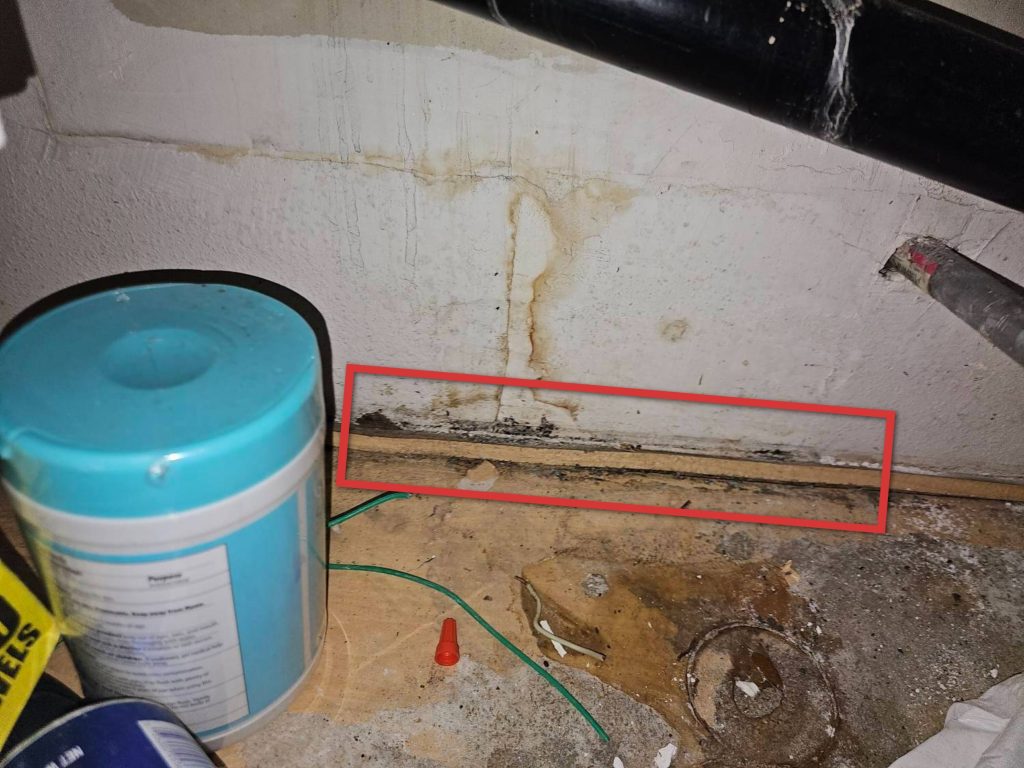 Mold / AIQ