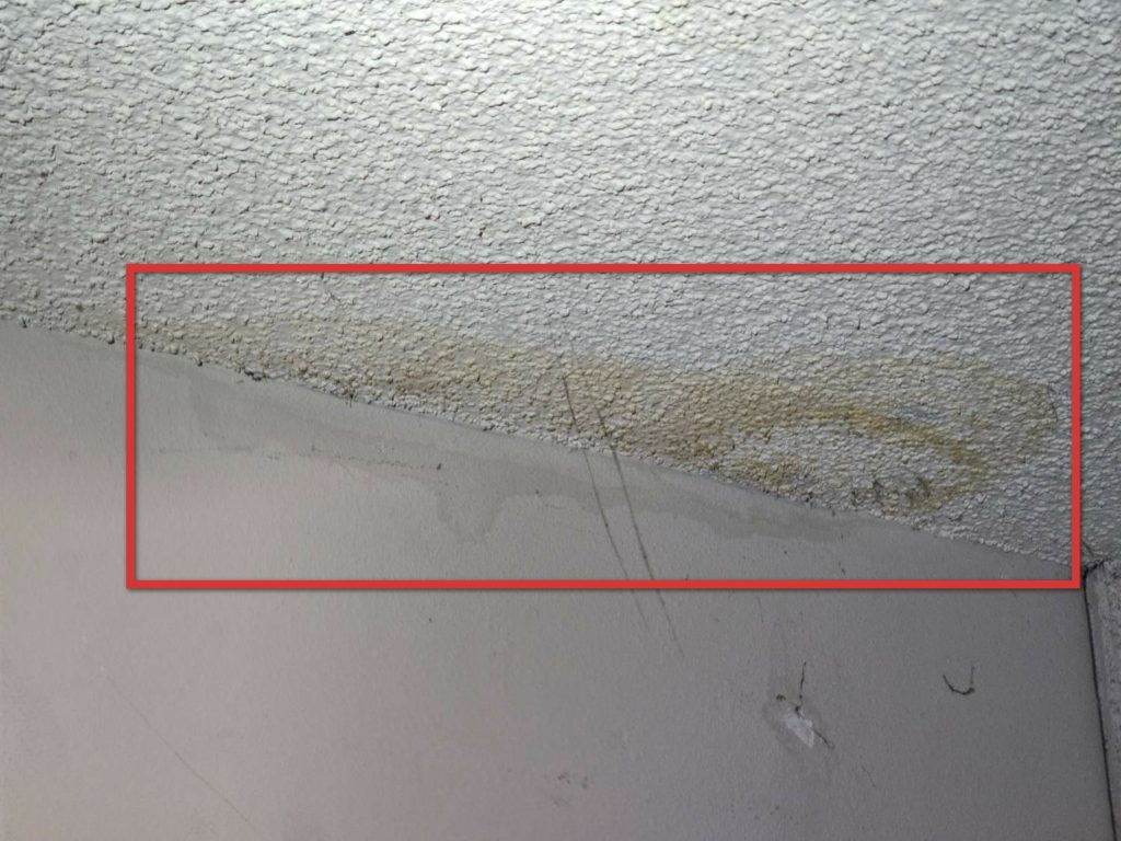 Mold / AIQ