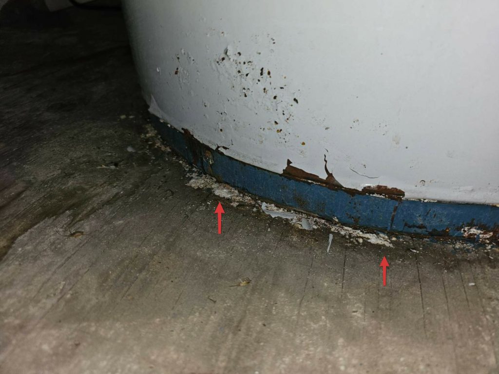 Mold / AIQ