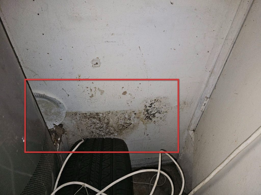 Mold / AIQ