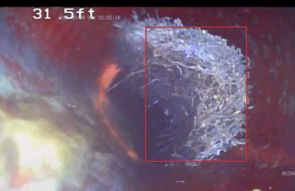 Sewer Scope