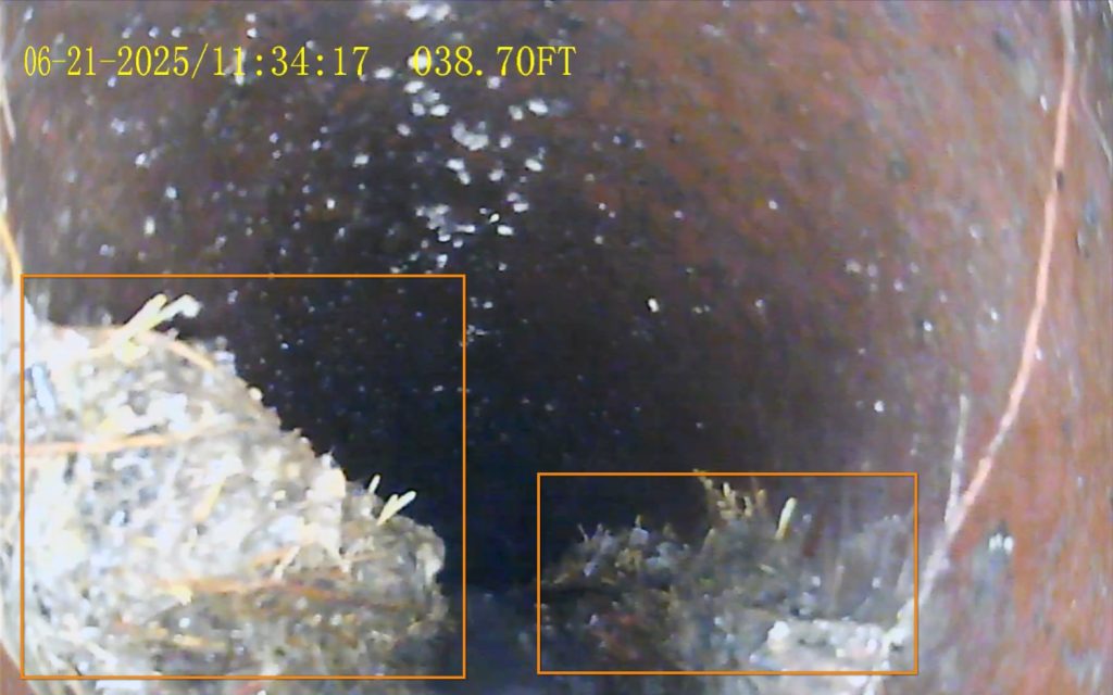 Sewer Scope