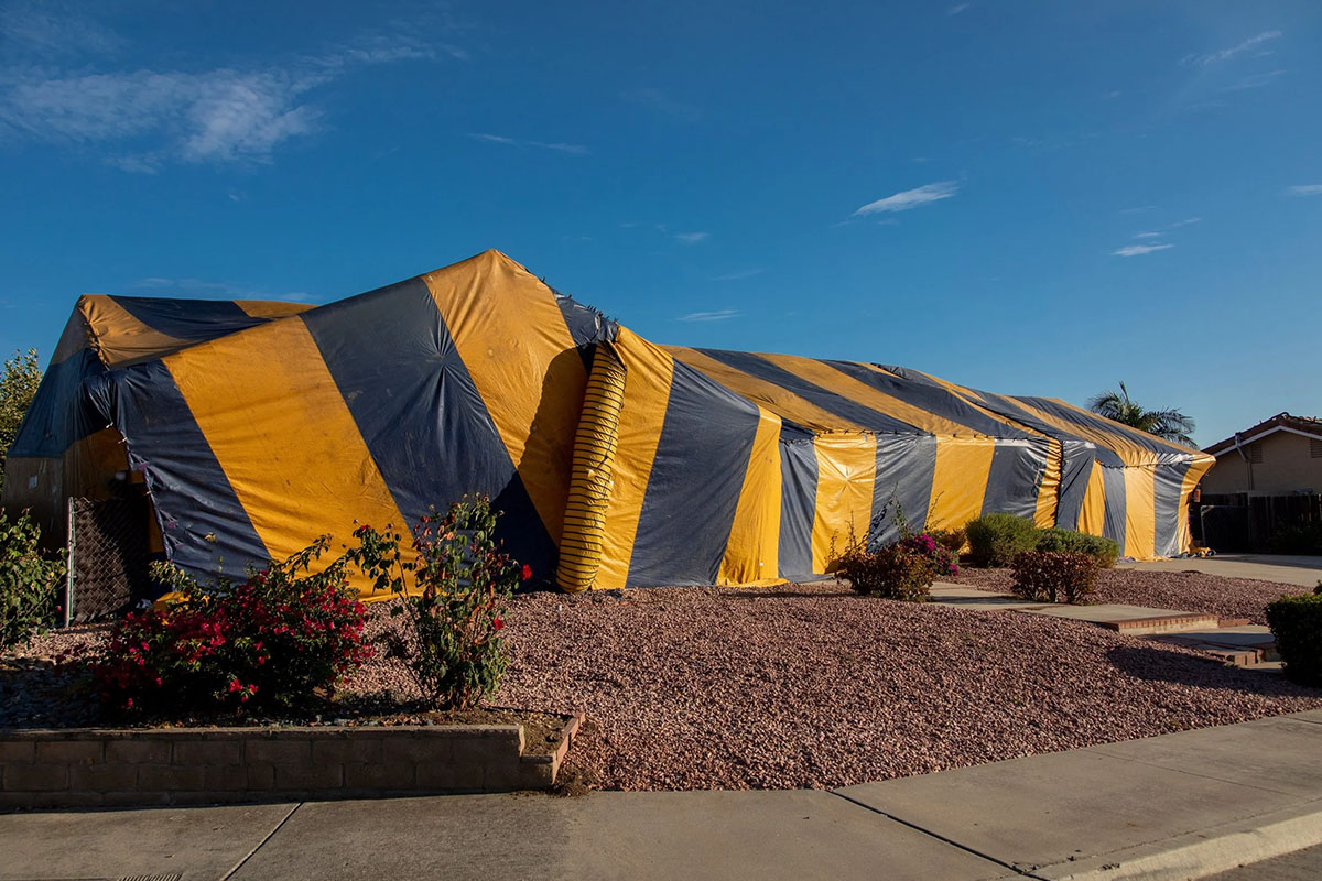 Termite Risk in Orange County