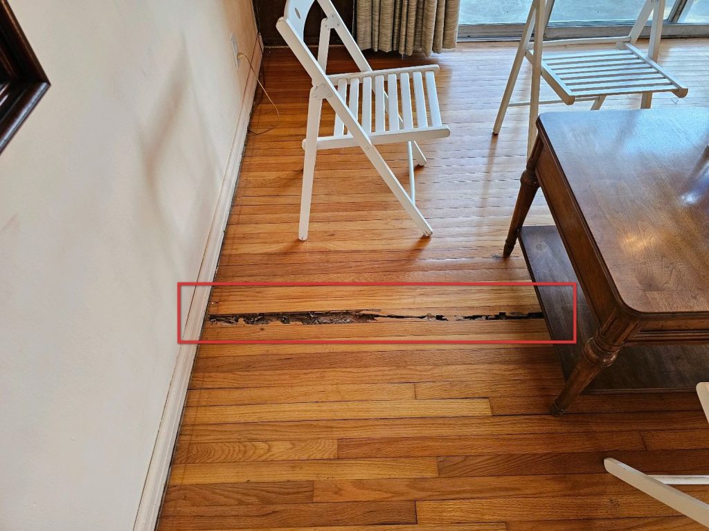 Termite Inspection