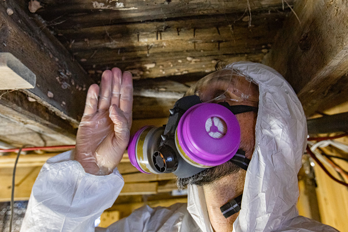 Why Mold Inspection Matters in Southern California