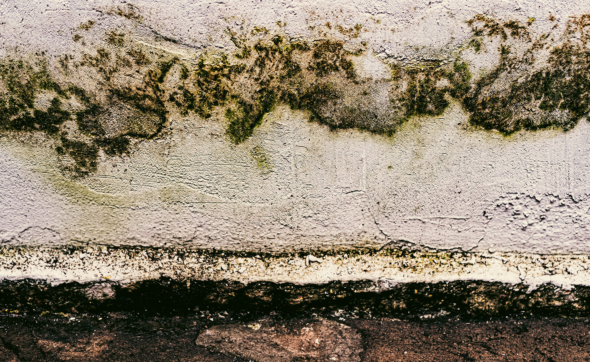 mold surface sampling